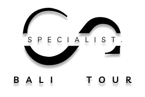 The best bali tour and travel specialist